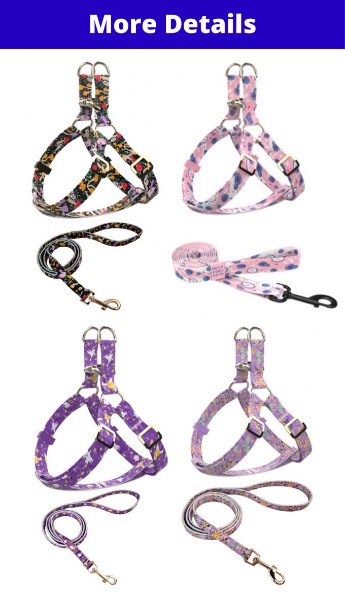 Durable Nylon Pet Leash And Harness Set Adjustable Comfortable For Small Large Dogs 0
