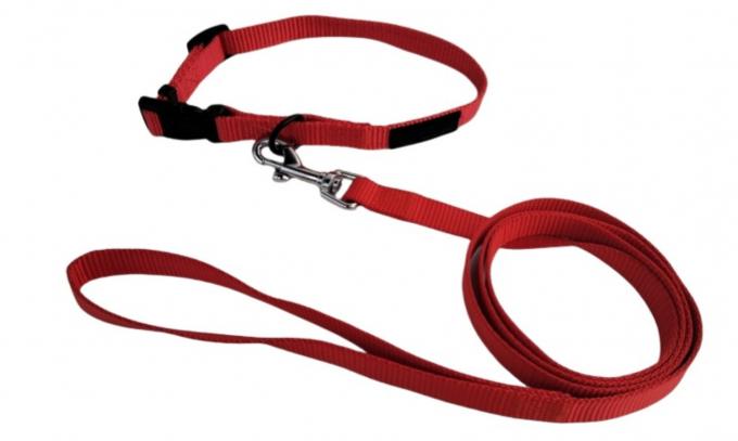 Pet Nylon Collar Leash Set Durable Adjustable Lightweight For Small Medium Dogs 0