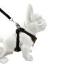 Reflective Custom Logo Dog Harness Leash Set For Small Medium Dogs Reflective Custom Logo Dog Harness Leash Set For Small Medium Dogs