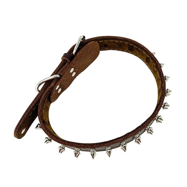 Genuine Leather Pet Collar with Studded Design Stylish Durable and Comfortable