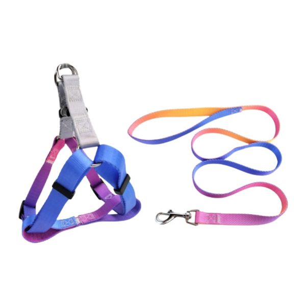 Nylon Pet Dog Chest Harness Leash Set Colorful Adjustable Comfortable