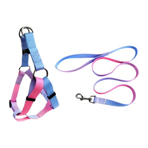 Nylon Pet Dog Chest Harness Leash Set Colorful Adjustable Comfortable Nylon Pet Dog Chest Harness Leash Set Colorful Adjustable Comfortable