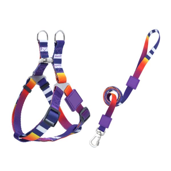 Durable Nylon Pet Harness And Leash Set Adjustable Safe Comfortable For Dogs Durable Nylon Pet Harness And Leash Set Adjustable Safe Comfortable For Dogs