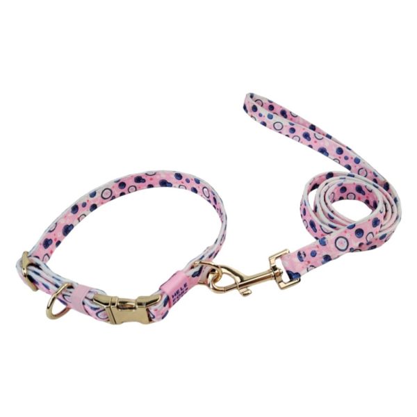 Durable Nylon Pet Collar And Leash Set Affordable Customizable Long-Lasting Durable Nylon Pet Collar And Leash Set Affordable Customizable Long-Lasting