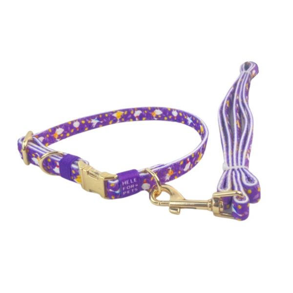Durable Nylon Pet Collar And Leash Set Affordable Customizable Long-Lasting Durable Nylon Pet Collar And Leash Set Affordable Customizable Long-Lasting