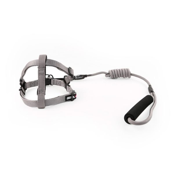 Adjustable Nylon Pet Harness And Leash Set Safe Secure And Easy For Dog Walking