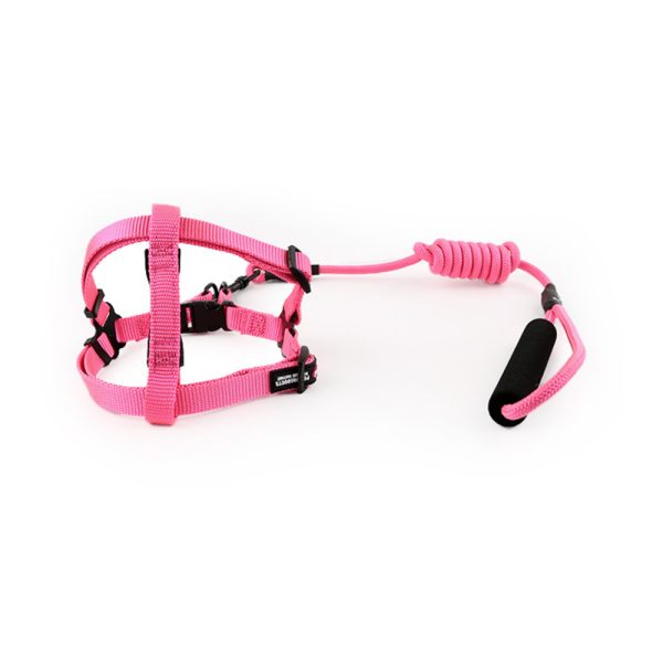 Adjustable Nylon Pet Harness And Leash Set Safe Secure And Easy For Dog Walking