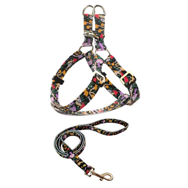 Durable Nylon Pet Leash And Harness Set Adjustable Comfortable For Small Large Dogs Durable Nylon Pet Leash And Harness Set Adjustable Comfortable For Small Large Dogs