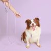Pet PVC Running Leash Waterproof Durable Comfortable Adjustable 2-Dog Lead Pet PVC Running Leash Waterproof Durable Comfortable Adjustable 2-Dog Lead