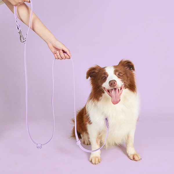 Pet PVC Running Leash Waterproof Durable Comfortable Adjustable 2-Dog Lead Pet PVC Running Leash Waterproof Durable Comfortable Adjustable 2-Dog Lead
