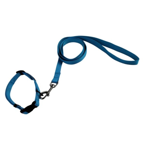 Pet Nylon Collar Leash Set Durable Adjustable Lightweight For Small Medium Dogs Pet Nylon Collar Leash Set Durable Adjustable Lightweight For Small Medium Dogs