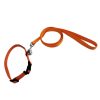 Pet Nylon Collar Leash Set Durable Adjustable Lightweight For Small Medium Dogs Pet Nylon Collar Leash Set Durable Adjustable Lightweight For Small Medium Dogs