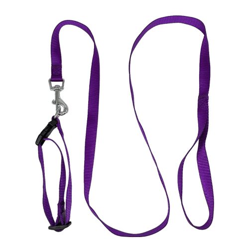 Durable Nylon Pet Collar Leash Set Comfortable Secure Stylish For Dogs Cats